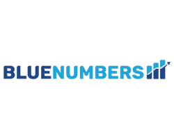 bluenumbers-logo-kapastudio